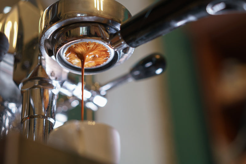 The Hidden Role of Water Quality in Food and Coffee Flavour
