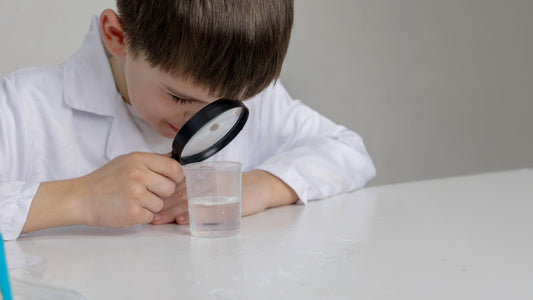 Decoding Your Tap Water: A Guide to Water Quality Reports