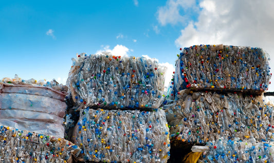Plastic-Free Hydration: The Environmental and Health Benefits