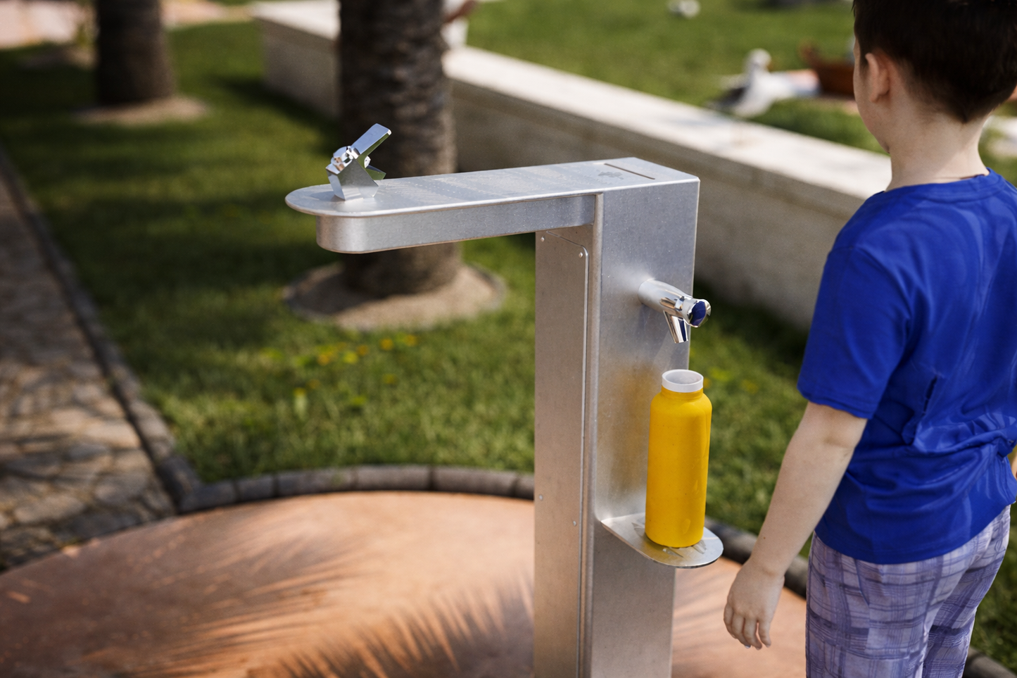 Wheelchair Accessible Drinking Fountain - Mount Te Aroha